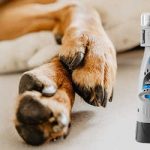 The 10 Best Dog Nail Grinders of 2024