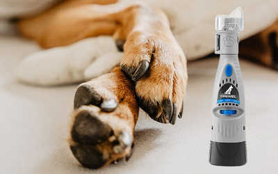 The 10 Best Dog Nail Grinders of 2024 - WE REVIEW